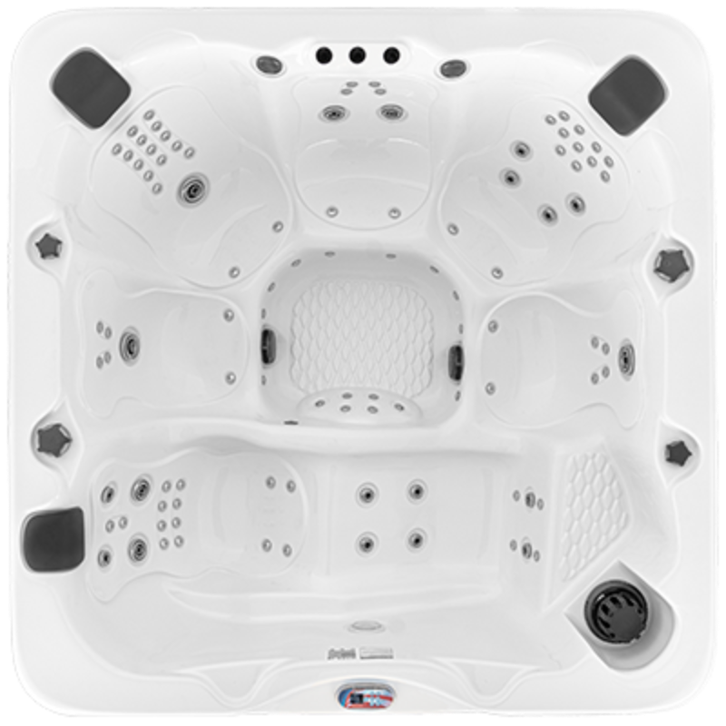 American Spas AM 100 Lounge
