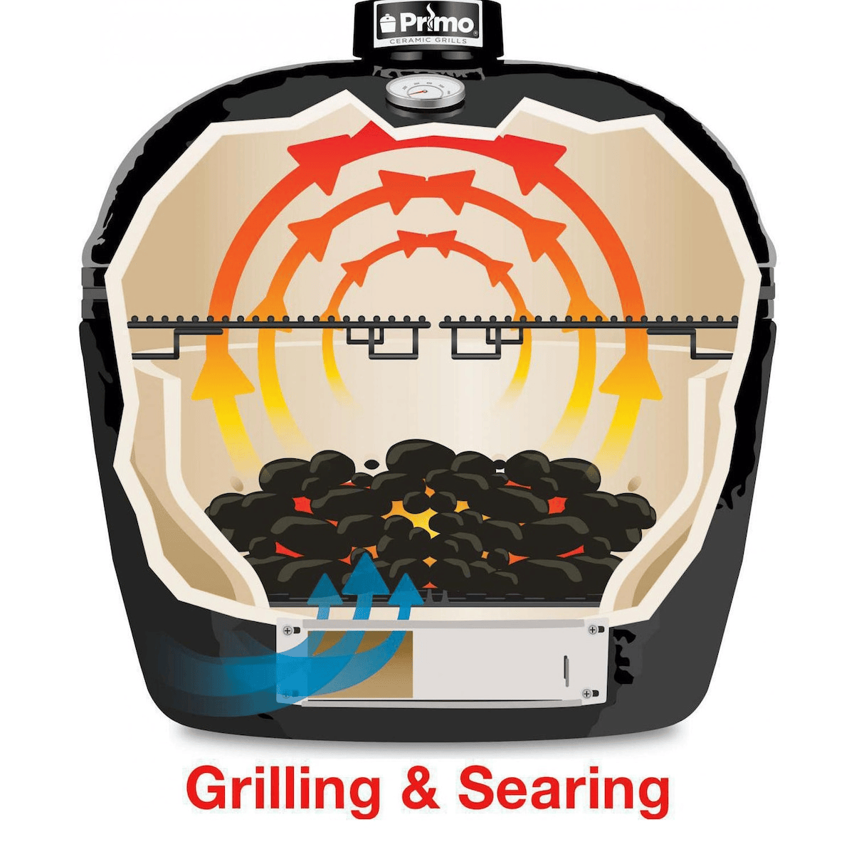 Primo Ceramic Grills Oval Large 3000 Series Charcoal Grill/Smoker  Primo Ceramic Grills