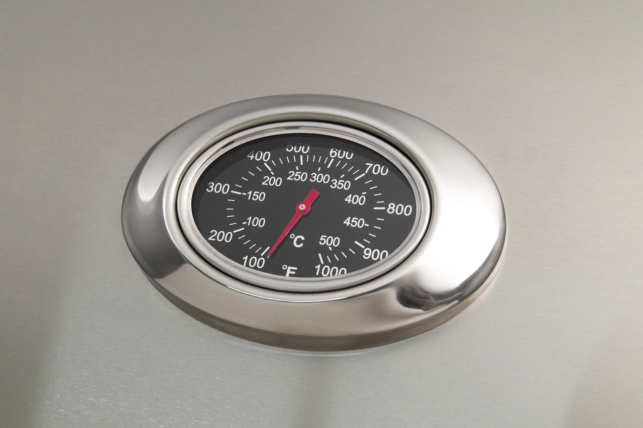 American Outdoor Grill “L” Series Portable Stainless Steel Grill  American Outdoor Grill