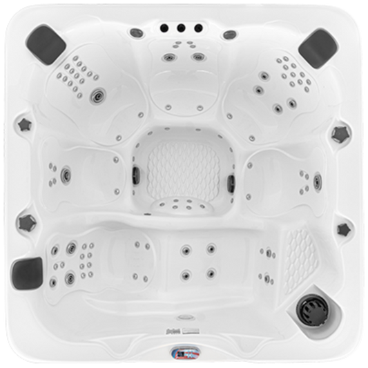 American Spas AM 100 Lounge