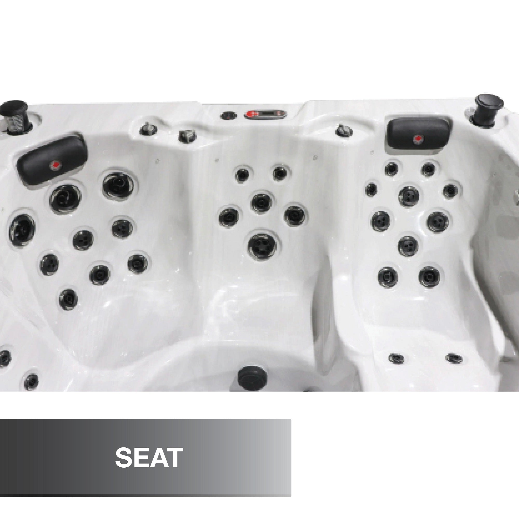 Canadian Spa Company St. Lawrence 20ft 17-Person 73-Jet Swim Spa  Canadian Spa Company