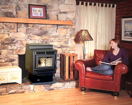 Hudson River Stove Works Davenport Freestanding Pellet Stove With Door